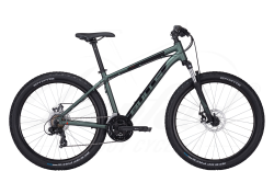 Bulls Wildtail 1 Disc emerald green matt 