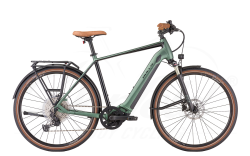 Bulls Urban EVO 12 Diamant 400Wh emerald green matt 