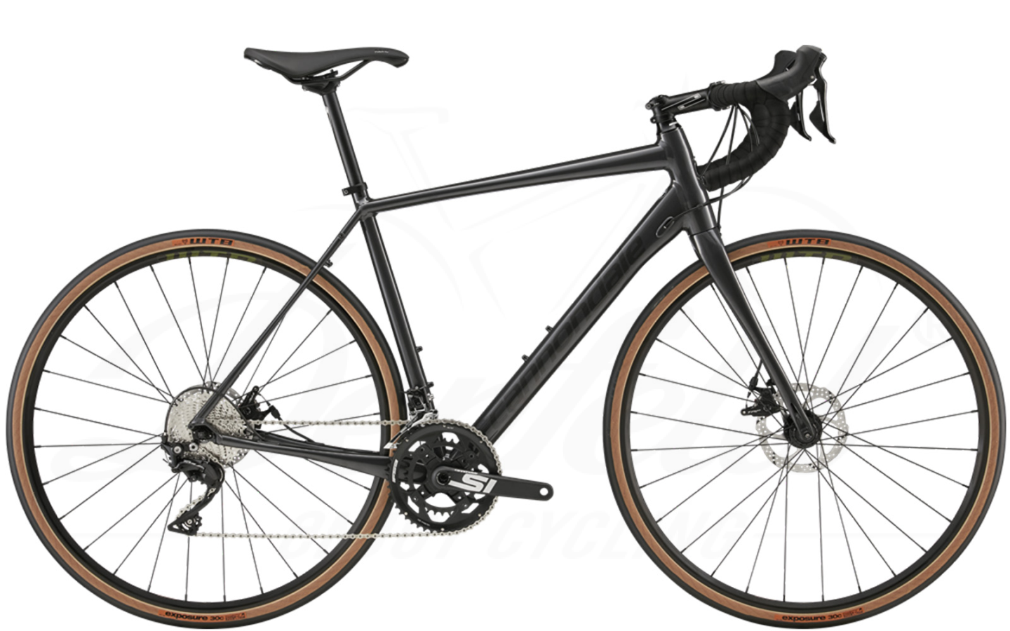 Synapse 2024 disc se