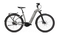 Flyer Gotour6 7.43 625Wh Cast Silver Gloss 