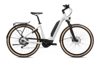 Flyer Upstreet5 3.12 Tiefeinsteiger 630Wh Pearl White Gloss 
