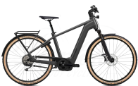Flyer Gotour 7.10 750Wh Cold Anthracite 2023