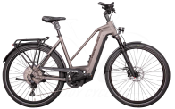 Hercules Futura Max I-12 750Wh Trapez silber-matt 2024