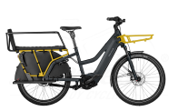 Riese&Müller Multicharger2 Mixte GT Vario 750Wh RX GX Kiox300 Safty BarKit utility grey/curry matt 2025