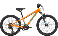 Cannondale Kids Trail 20 Crush 